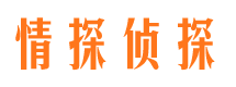 平原市婚姻出轨调查